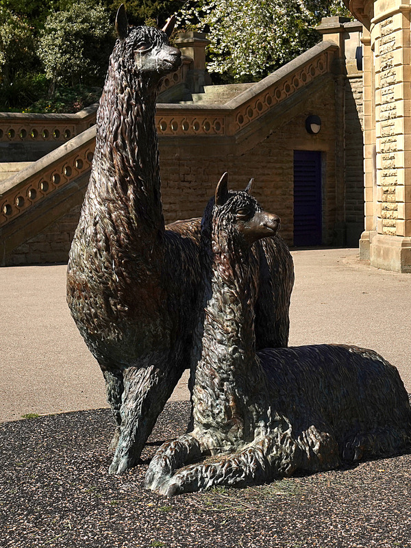 2025.68.111: Alpacas sculpture in Roberts Park. Digital image credit: Saltaire Collection