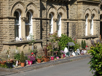 2025.68.112: Saltaire Almhouses plants. Digital image credit: Saltaire Collection