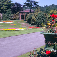 2025.68.121: Roberts Park flowers. Digital image credit: Saltaire Collection